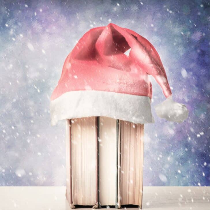 books with santa hat and snow