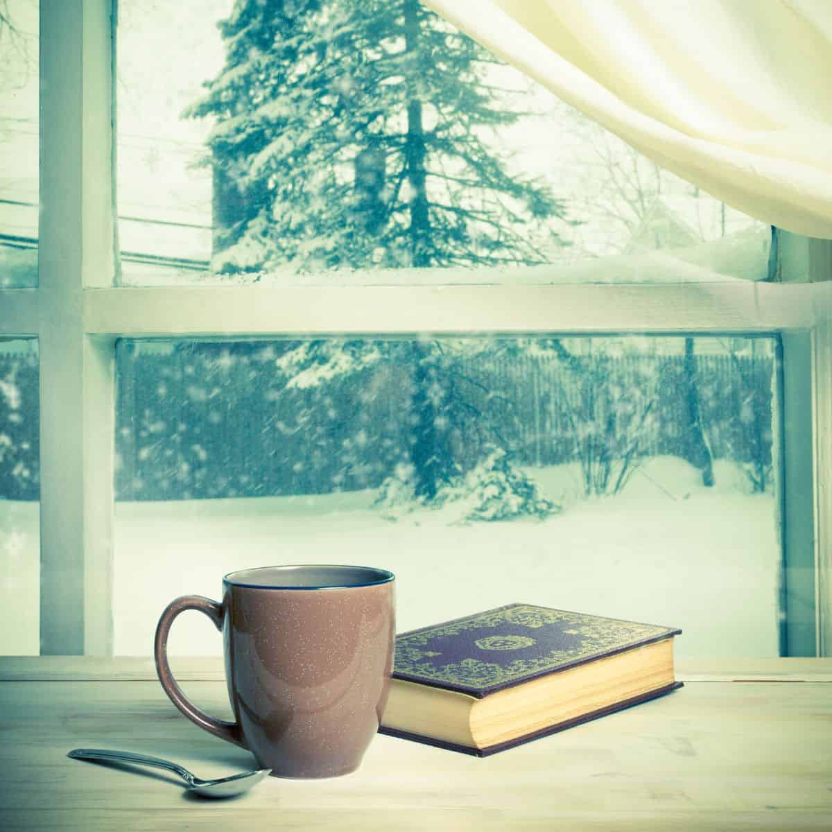 winter book and mug on snowy window ledge
