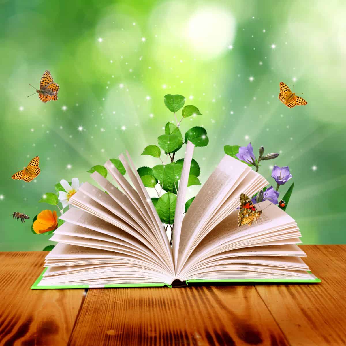 open book with flowers and butterflies coming out of it