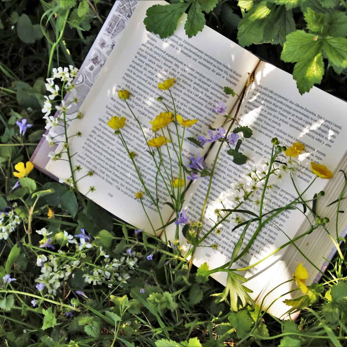 book in grass with flowers.