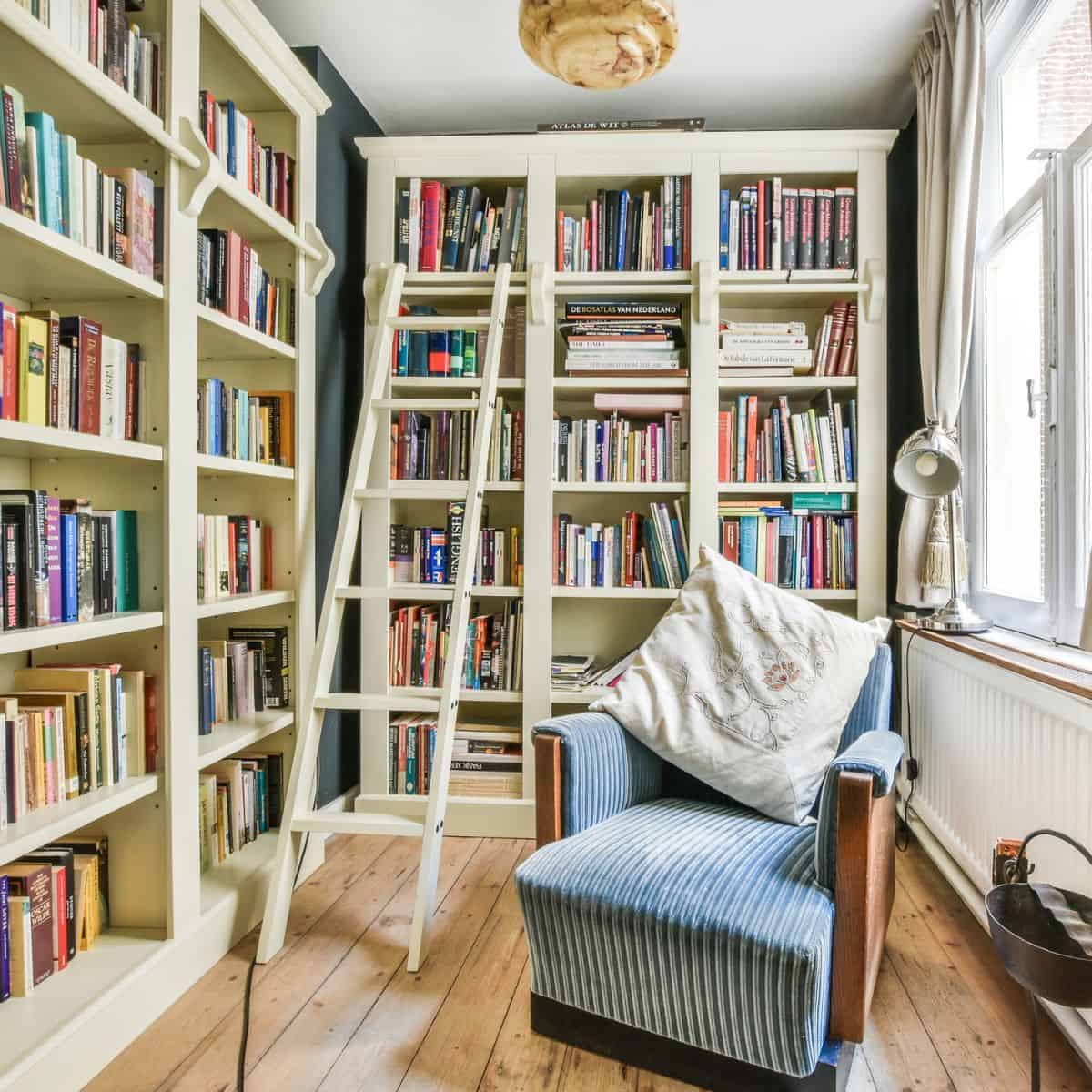 chair in front of bookcase with ladder.