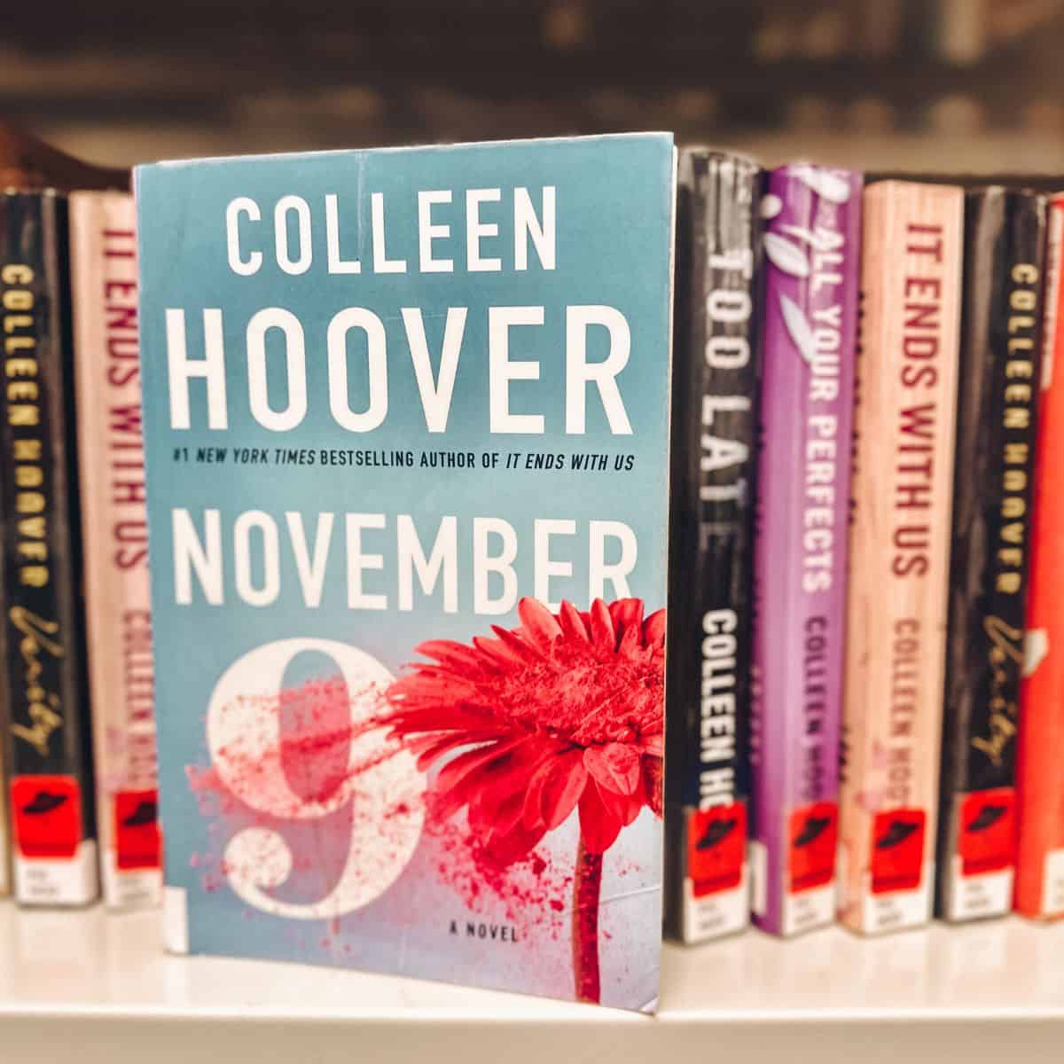 Colleen Hoover’s November 9: Summary (With Ending)